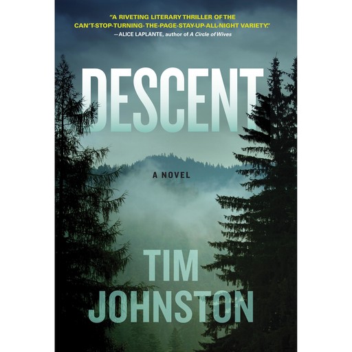 Descent, Tim Johnston