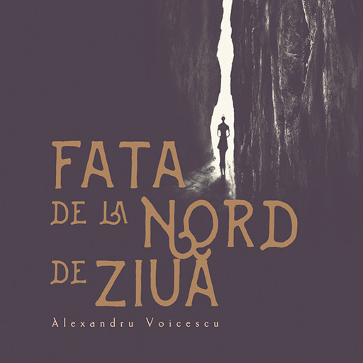 Fata de la nord de ziuă, Alexandru Voicescu