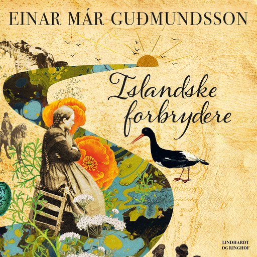 Islandske forbrydere, Einar Már Gudmundsson