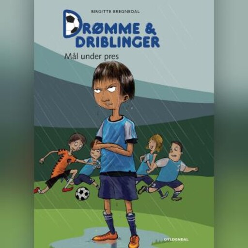 Drømme og driblinger. Mål under pres., Birgitte Bregnedal
