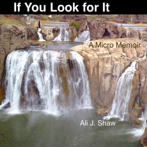 If You Look for It: A Micro Memoir, Ali Shaw