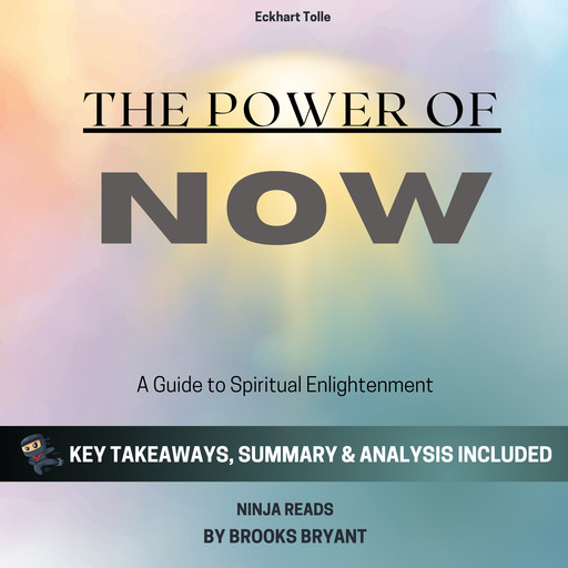 Summary: The Power of Now, Brooks Bryant
