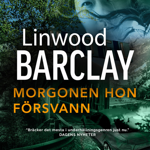 Morgonen hon försvann, Linwood Barclay