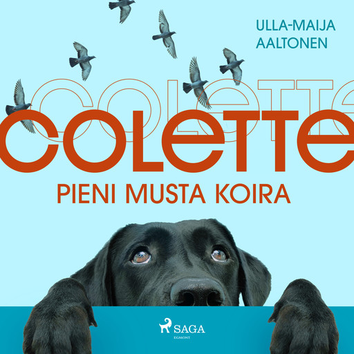 Colette, pieni musta koira, Ulla-Maija Aaltonen