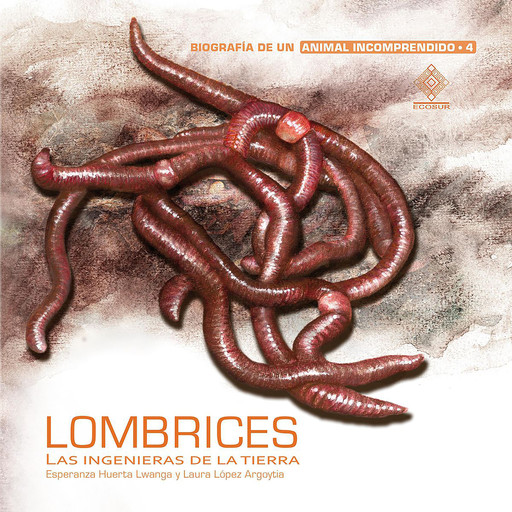 Lombrices, las ingenieras de la tierra, Laura López Argoytia