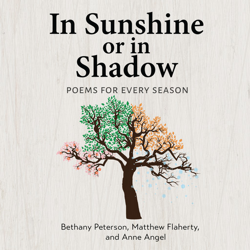 In Sunshine or in Shadow, Bethany Peterson, Matthew Flaherty, Anne Angel