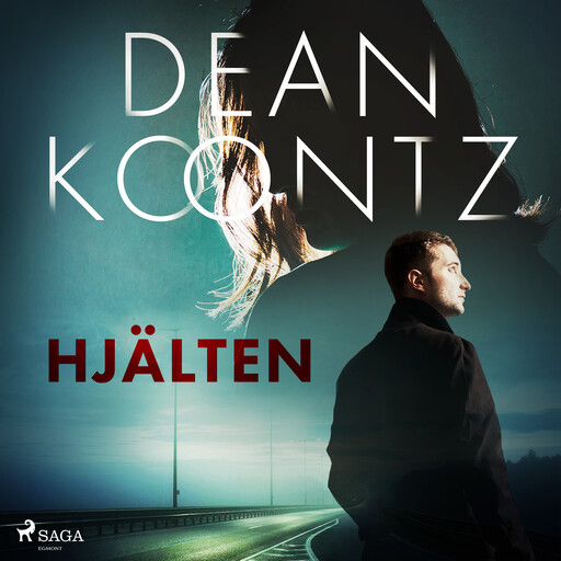 Hjälten, Dean Koontz