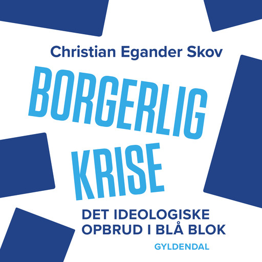 Borgerlig krise, Christian Skov