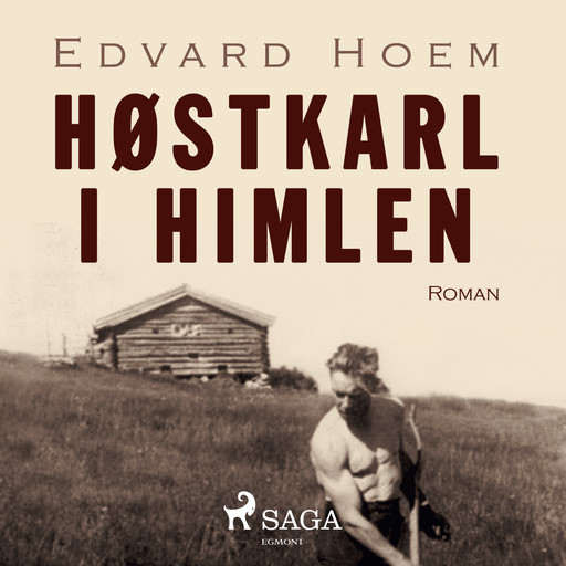 Høstkarl i himlen, Edvard Hoem