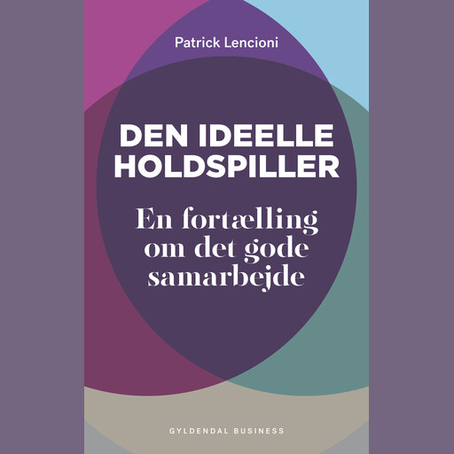Den ideelle holdspiller, Patrick Lencioni
