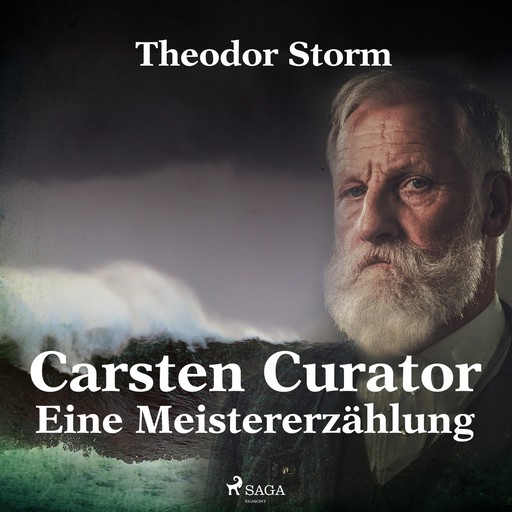 Carsten Curator - Eine Meistererzählung (Ungekürzt), Theodor Storm