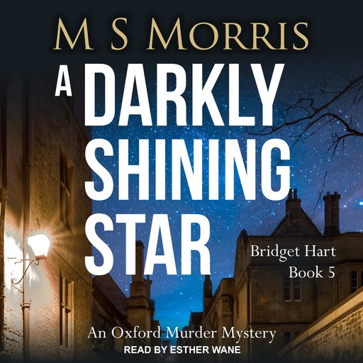 A Darkly Shining Star, M.S. Morris