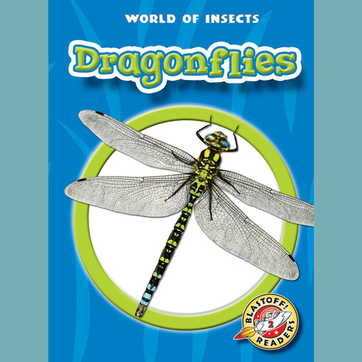 Dragonflies, Emily K. Green