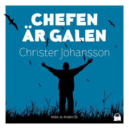 Chefen är galen, Christer Johansson