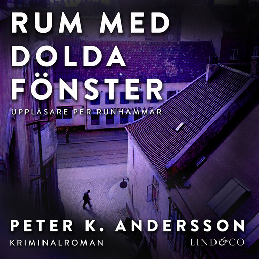 Rum med dolda fönster, Peter Andersson