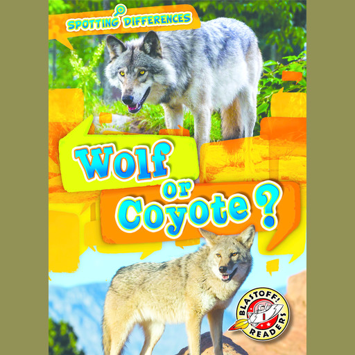 Wolf or Coyote?, Kirsten Chang