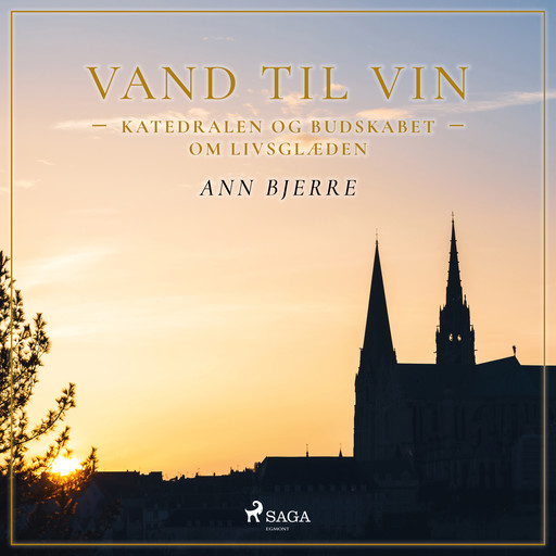 Vand til vin - Katedralen og budskabet om livsglæden, Ann Bjerre