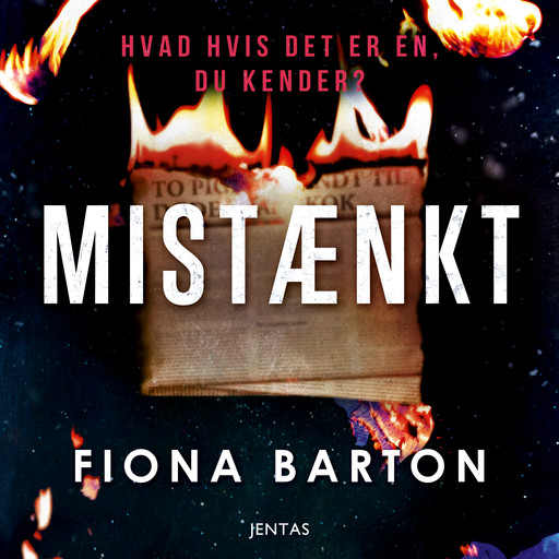 Mistænkt, Fiona Barton