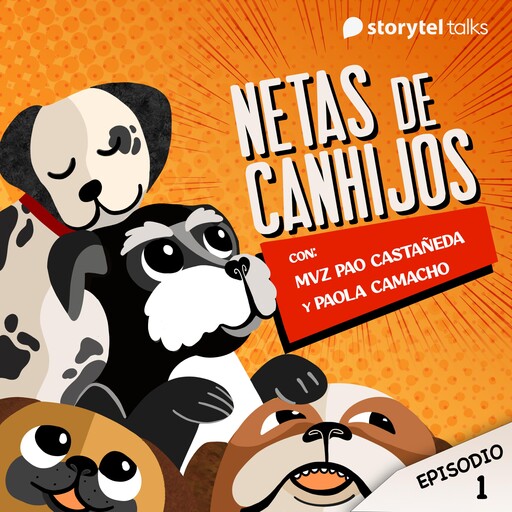 Perrapeutas, la nueva función del perro, Paola Marisol Castañeda Campos
