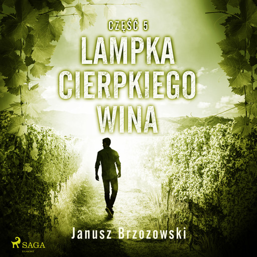 Lampka cierpkiego wina, Janusz Brzozowski