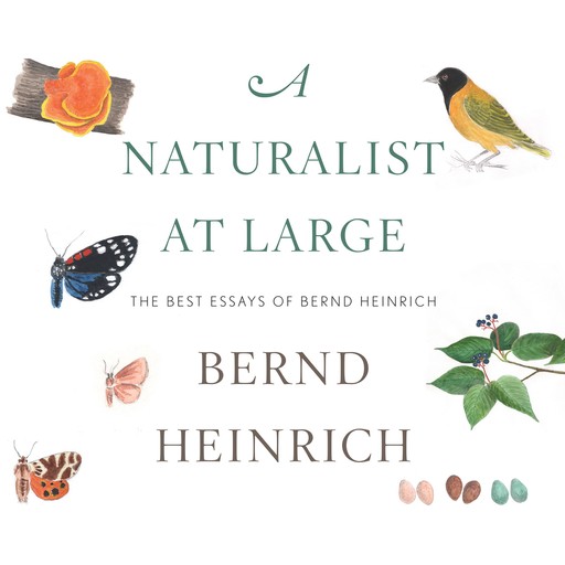 A Naturalist at Large, Bernd Heinrich