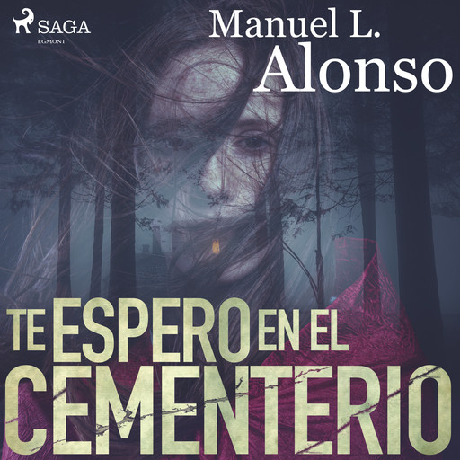 Te espero en el cementerio, Manuel Luís Alonso Goméz