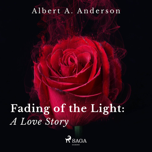 Fading of the Light: A Love Story, Albert A. Anderson