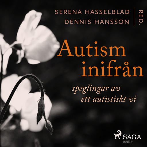 Autism inifrån: Speglingar av ett autistiskt vi, Dennis Hansson, Serena Hasselblad