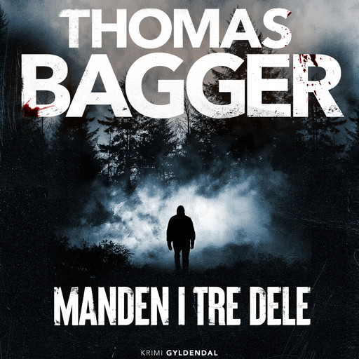 Manden i tre dele, Thomas Bagger
