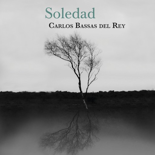 Soledad, Carlos Bassas Del Rey