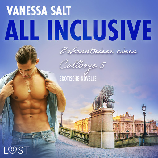 All inclusive: Bekenntnisse eines Callboys 5 - Erotische Novelle, Vanessa Salt
