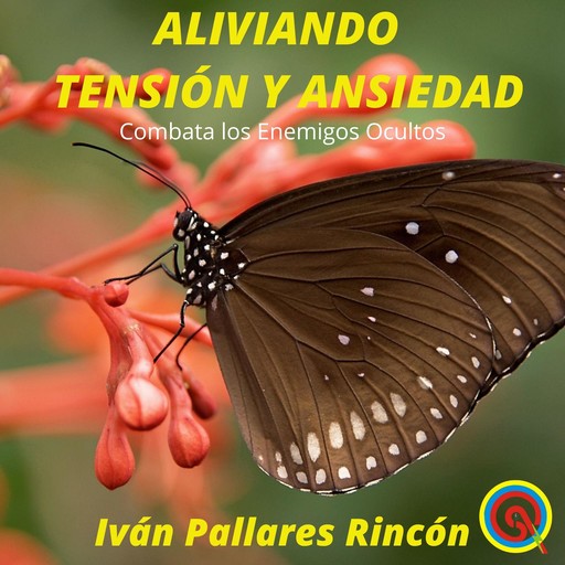 ALIVIANDO TENSIÓN Y ANSIEDAD, Ivan Pallares Rincon