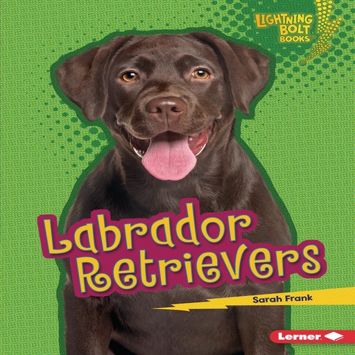 Labrador Retrievers, Sarah Frank