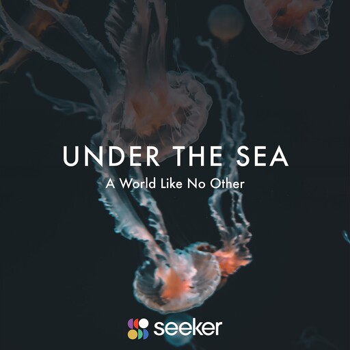 Under the Sea, Seeker