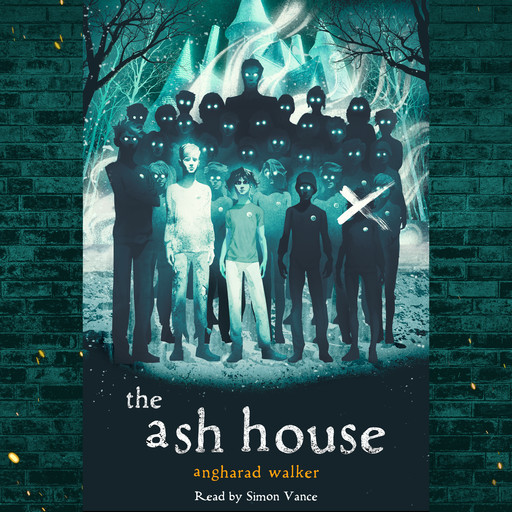 The Ash House, Angharad Walker
