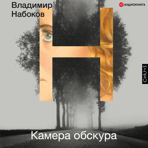 Камера обскура, Владимир Набоков