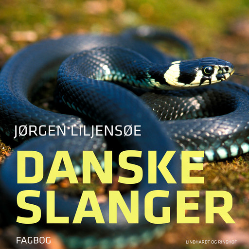 Danske slanger, Jørgen Liljensøe
