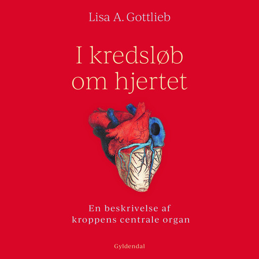 I kredsløb om hjertet, Lisa A. Gottlieb