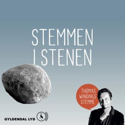 Stemmen i stenen, Thomas Winding