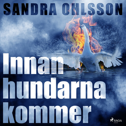 Innan hundarna kommer, Sandra Ohlsson