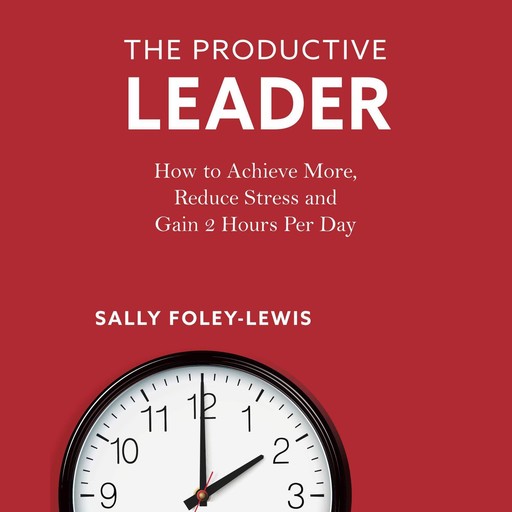 The Productive Leader, Sally Foley-Lewis