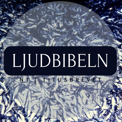 NT | Titusbrevet, Ljudbibeln