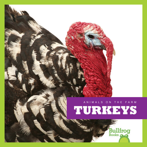 Turkey, Wendy Strobel Dieker