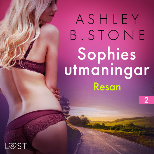 Sophies utmaningar 2: Resan - erotisk novell, Ashley B. Stone