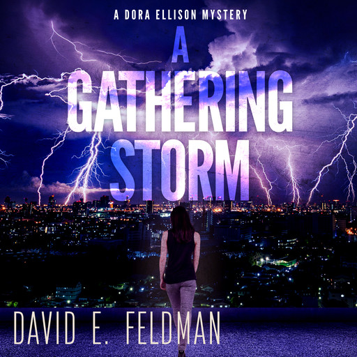 A Gathering Storm: A Murder Mystery Thriller: Dora Ellison Mystery, Book 2, David Feldman