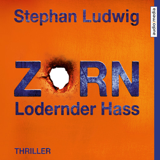 Zorn 7 – Lodernder Hass, Stephan Ludwig