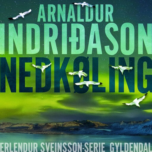 Nedkøling, Arnaldur Indridason