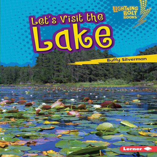Let's Visit the Lake, Buffy Silverman