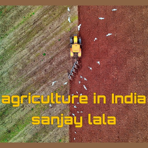 Agriculture in India, Sanjay lala