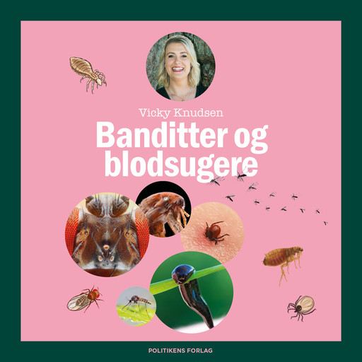 Banditter og blod-sugere - Læs selv-serie, Vicky Knudsen
